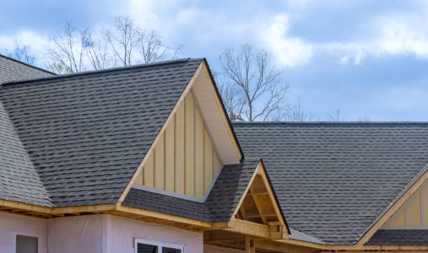 Best Roof Inspection  in Durand, WI